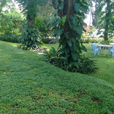 Villa Serena 벵갈루루 외부 사진